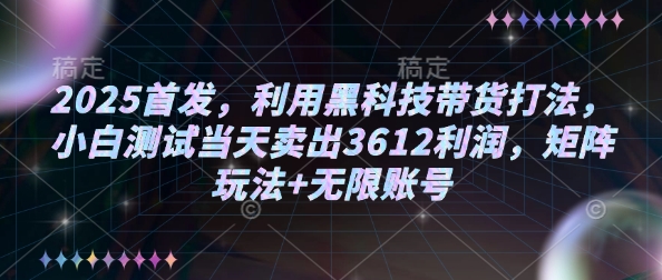 2025首发，利用黑科技带货打法，小白测试当天卖出3612利润，矩阵玩法+无限账号【揭秘】-shaocun资源站