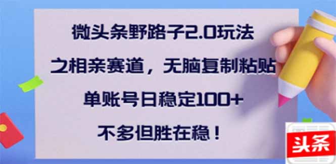 （14334期）微头条野路子2.0玩法之相亲赛道，无脑搬砖复制粘贴，单账号日稳定300+…-shaocun资源站