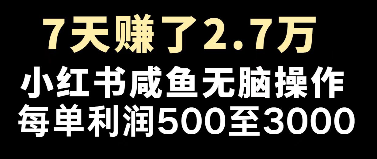 （14183期）最赚钱项目之一，2025爆火，逆风翻盘！-shaocun资源站