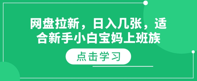 网盘拉新，日入几张，适合新手小白宝妈上班族-shaocun资源站