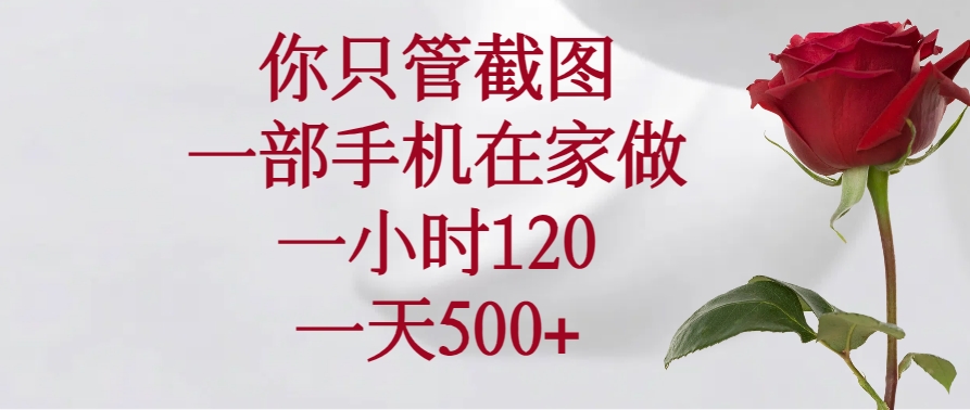 （14248期）你只管截图，一部手机在家做，一小时120，一天500+-shaocun资源站