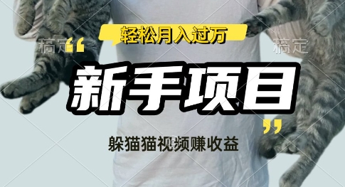 利用老外躲猫猫大赛视频，挣分成收益，操作简单，新手小白，轻松月入过W-shaocun资源站