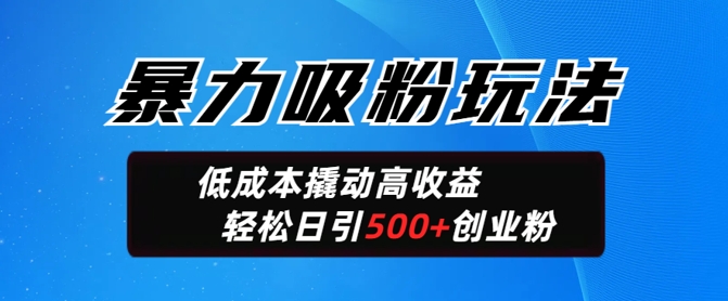 暴力吸粉玩法，日引500+精准创业粉，日变现轻松多张-shaocun资源站