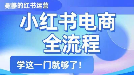 小红书电商全流程，精简易懂，从入门到精通，学这一门就够了-shaocun资源站