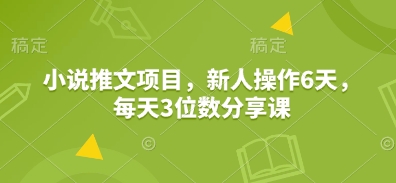 小说推文项目，新人操作6天，每天3位数分享课-shaocun资源站