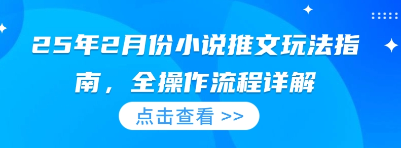25年2月份小说推文玩法指南，全操作流程详解-shaocun资源站
