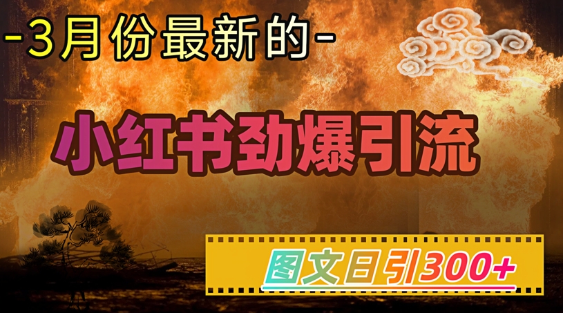 小红书超劲爆引流手段，图文日引300+轻松变现1W-shaocun资源站
