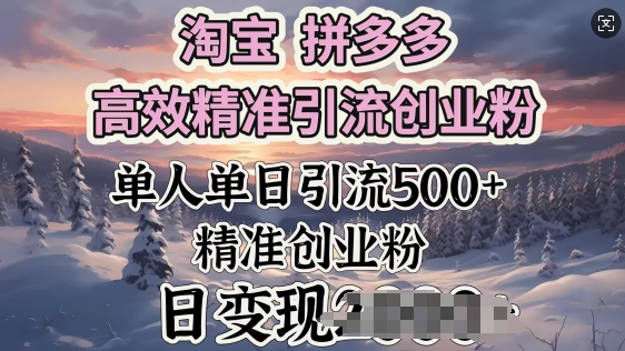 淘宝拼多多高效精准引流创业粉，单人单日引流500+创业粉，日变现多张-shaocun资源站