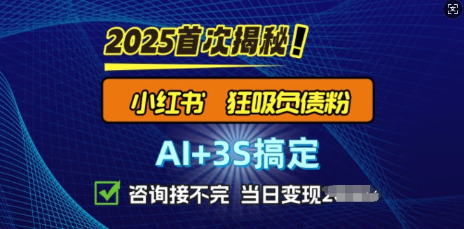 2025引流天花板：最新小红书狂暴负债粉思路，咨询接不断，当日入多张-shaocun资源站