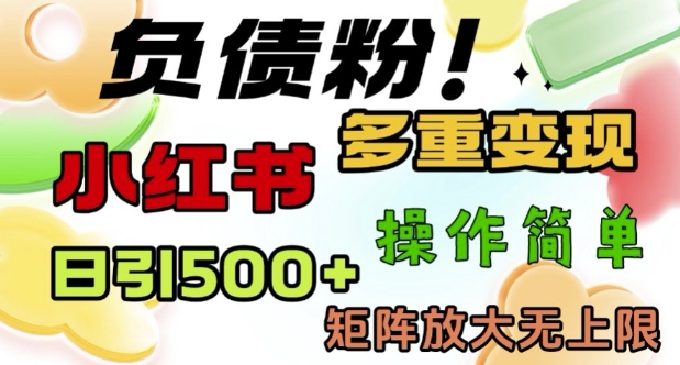 2月最新小红书日引500+负债粉，多重变现轻松过W，矩阵放大无上限-shaocun资源站