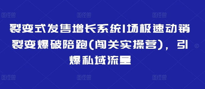 裂变式发售增长系统1场极速动销裂变爆破陪跑(闯关实操营)，引爆私域流量-shaocun资源站