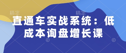 直通车实战系统：低成本询盘增长课，让个人通过技能实现升职加薪，让企业低成本获客，订单源源不断-shaocun资源站