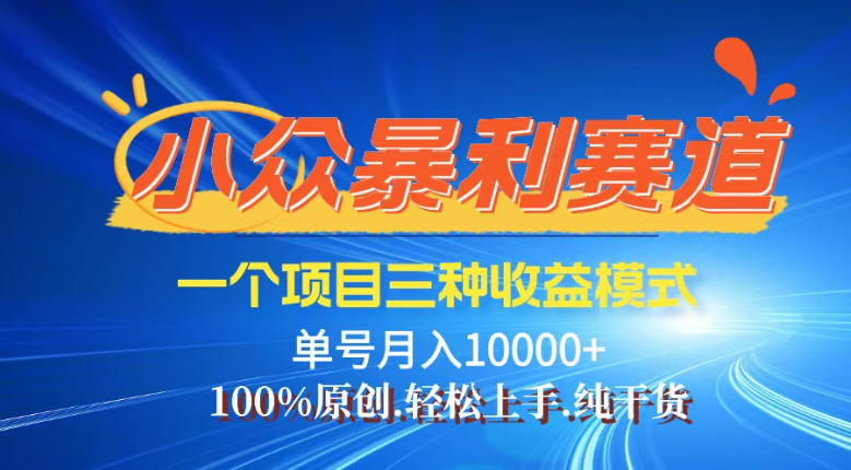 （14300期）【灵狐计划】视频号最新爆火赛道，三种收益模式，0粉新号条条热门原创…-shaocun资源站
