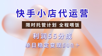 快手小店代运营，限时托管计划，收益55分，单日稳定变现多张【揭秘】-shaocun资源站