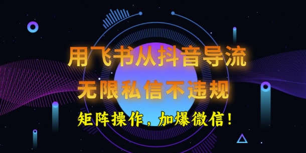 用飞书从抖音导流，无限私信不违规，抖音截流创业粉-shaocun资源站