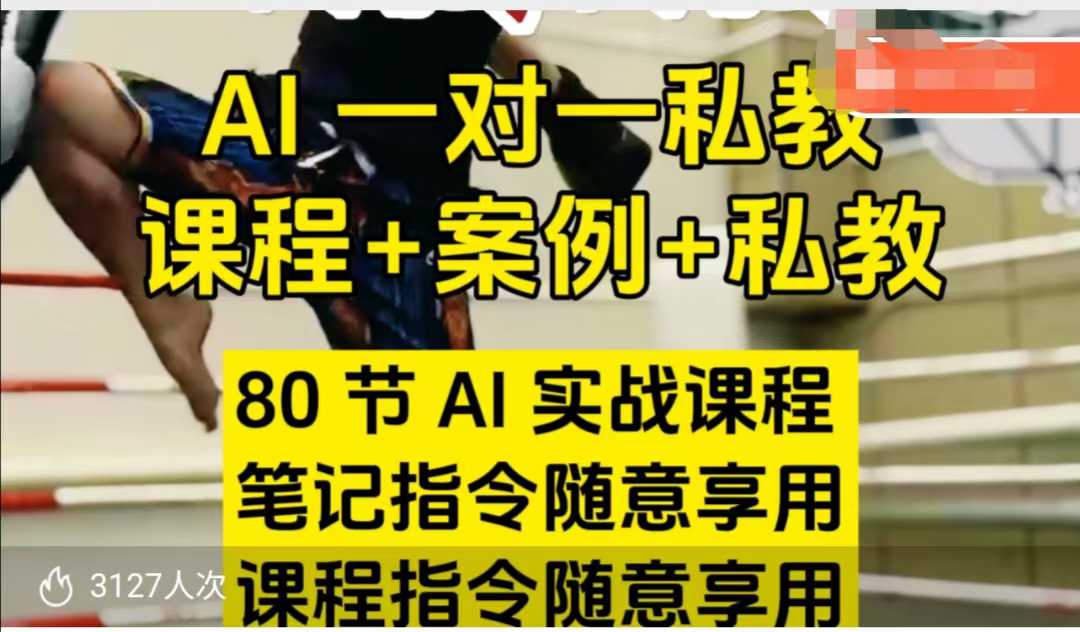 AI指令实战课，课程+案例，80节AI实战课程，笔记指令随意享用，课程指令随意享用-shaocun资源站