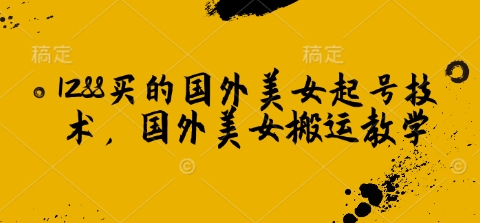 1288买的国外美女起号技术，国外美女搬运教学-shaocun资源站
