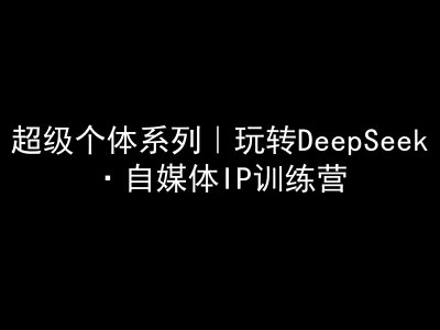 超级个体系列，玩转DeepSeek·自媒体IP训练营，deepseek教程-shaocun资源站