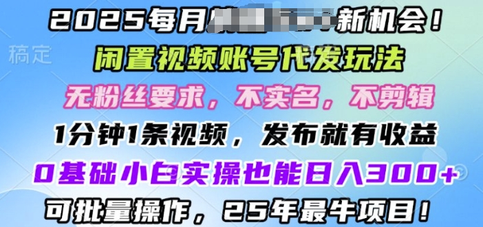 2025闲置视频账号一键代发玩法，0粉不实名不剪辑，领了视频直接发，0基础小白也能日入3张-shaocun资源站