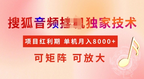 全网首发搜狐音频挂JI独家技术，项目红利期，可矩阵可放大，稳定月入8k【揭秘】-shaocun资源站