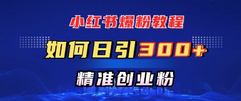 小红书爆粉教程，如何日引300+创业粉，快速实现精准变现-shaocun资源站