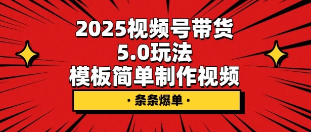 2025视频号带货5.0玩法，模板简单制作视频，条条爆单-shaocun资源站