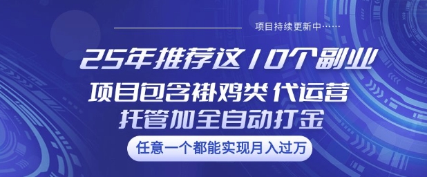 25年推荐这10个副业项目包含褂鸡类、代运营托管类、全自动打金类【揭秘】-shaocun资源站