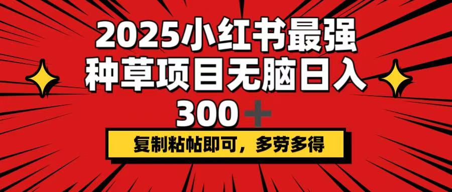 （14375期）2025小红书最强种草项目，无脑日入300+，复制粘帖即可，多劳多得-shaocun资源站