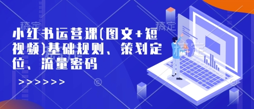 小红书运营课(图文+短视频)基础规则、策划定位、流量密码-shaocun资源站