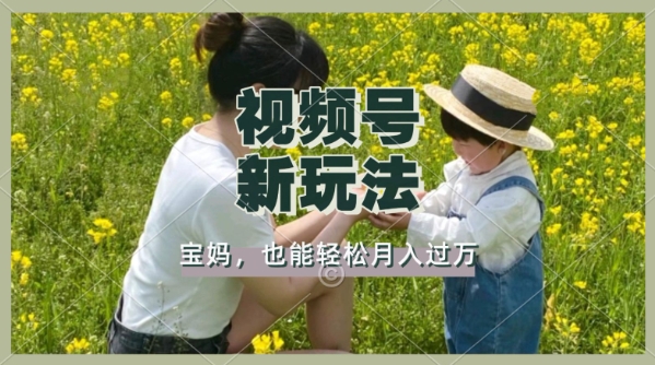 利用车祸意外视频，撸视频号分成收益，轻松月入过W，操作简单，适合宝妈，上班族-shaocun资源站