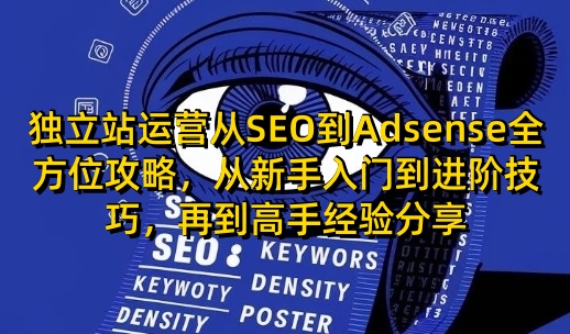 独立站运营从SEO到Adsense全方位攻略，从新手入门到进阶技巧，再到高手经验分享-shaocun资源站