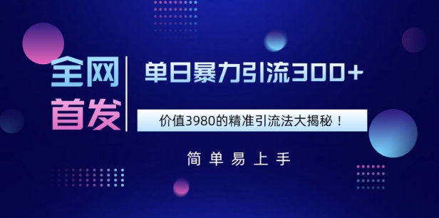 全网首发，价值3980单日暴力引流300+的精准引流法大揭秘-shaocun资源站
