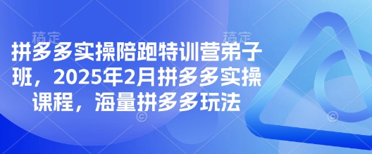 拼多多实操陪跑特训营弟子班，2025年2月拼多多实操课程，海量拼多多玩法-shaocun资源站