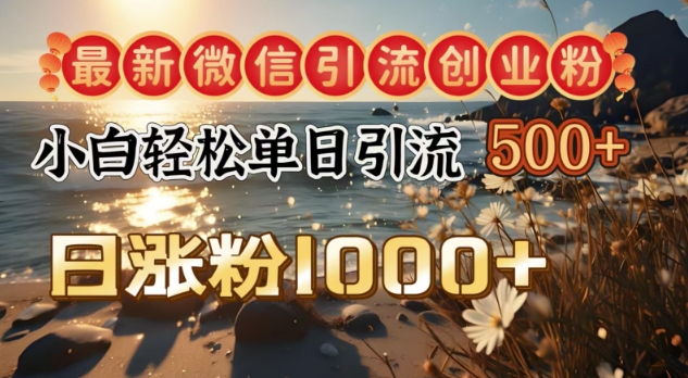 最新微信引流创业粉，小白单日轻松引流500+，日涨粉1000+-shaocun资源站