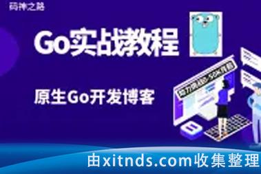图灵课堂 码神之路Go语言挺进大厂实战营视频教程|shaocun资源站 - 你的知识成长补给站