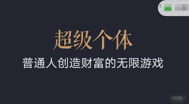 超级个体2024-2025翻盘指南，普通人创造财富的无限游戏-shaocun资源站