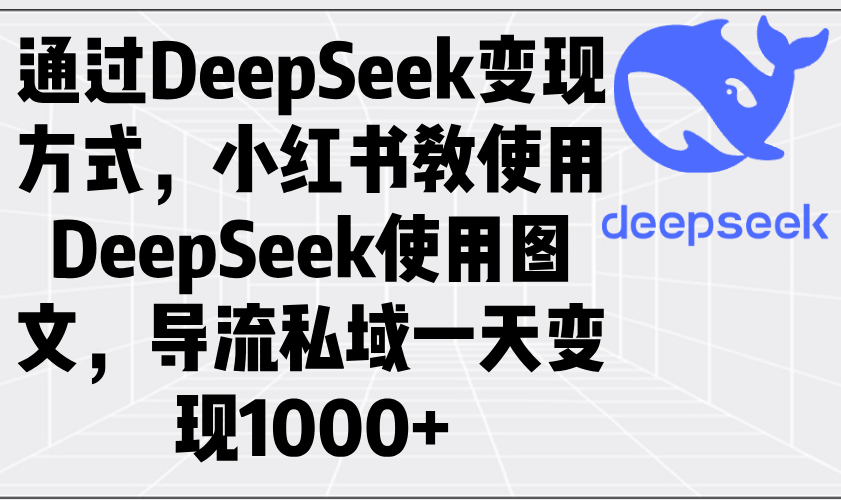 （14179期）通过DeepSeek变现方式，小红书教使用DeepSeek图文，导流私域一天变现1000+-shaocun资源站