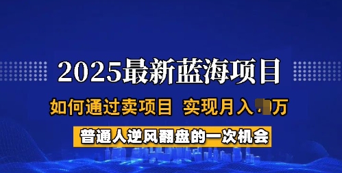 2025蓝海项目，普通人如何通过卖项目，实现月入过W，全过程【揭秘】-shaocun资源站