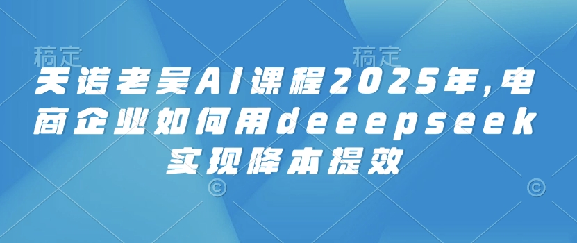 天诺老吴AI课程2025年，电商企业如何用deeepseek实现降本提效-shaocun资源站