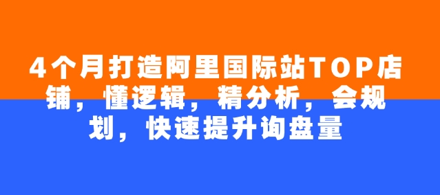 4个月打造阿里国际站TOP店铺，懂逻辑，精分析，会规划，快速提升询盘量-shaocun资源站