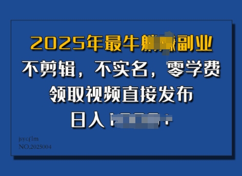 ​2025年最牛副业，不剪辑，不实名，零学费，零粉可做，领取视频直接发布，有播放就有收益-shaocun资源站