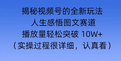 Deepseek和即梦结合，做一个【人生图文感悟】的视频号-shaocun资源站