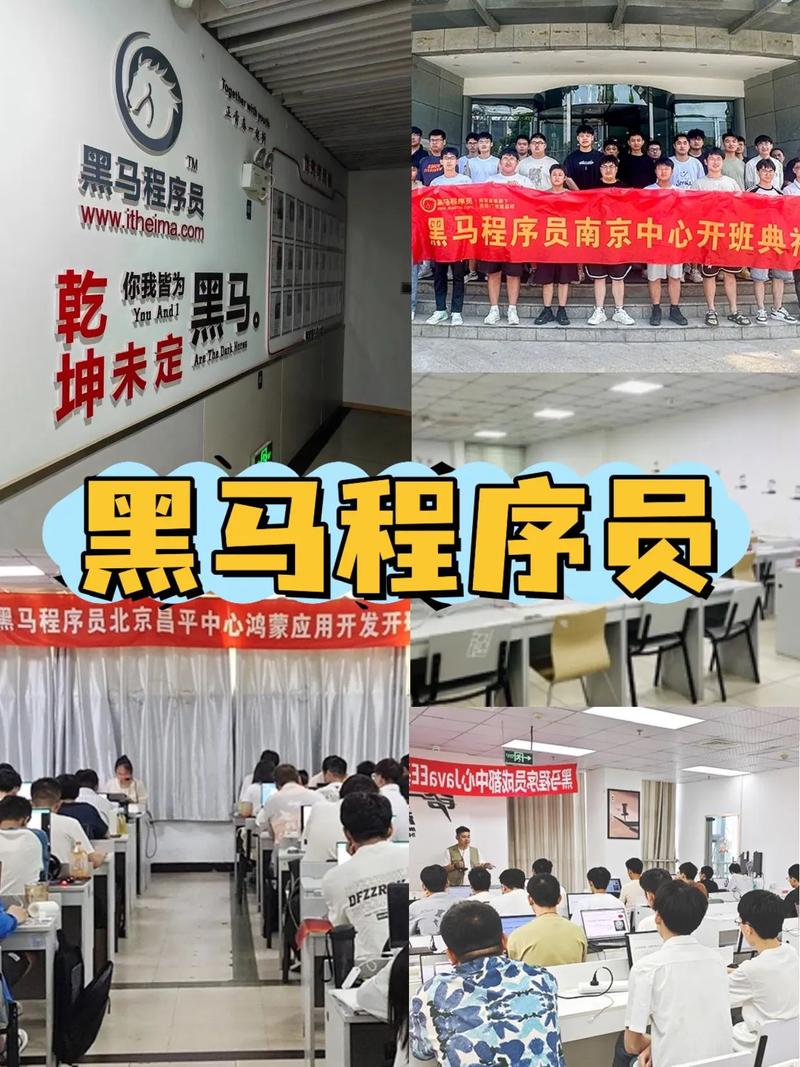 2024年黑马java【中州养老】新项目(无秘) 2024年黑马java【中州养老】新项目(无秘)