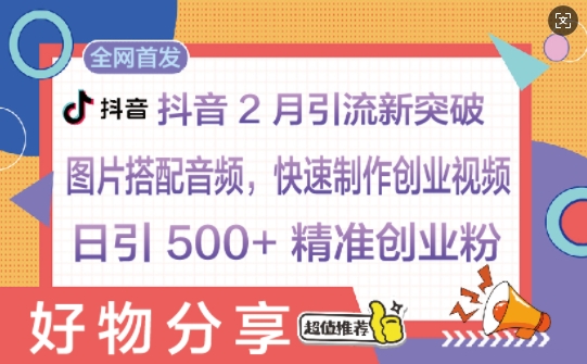 抖音2月引流新突破：图片搭配音频，快速制作创业视频，日引 500+ 精准创业粉-shaocun资源站