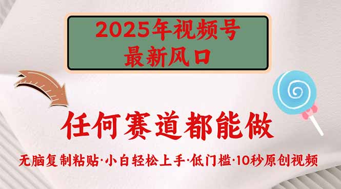 （14453期）2025年视频号新风口，低门槛只需要无脑执行-shaocun资源站