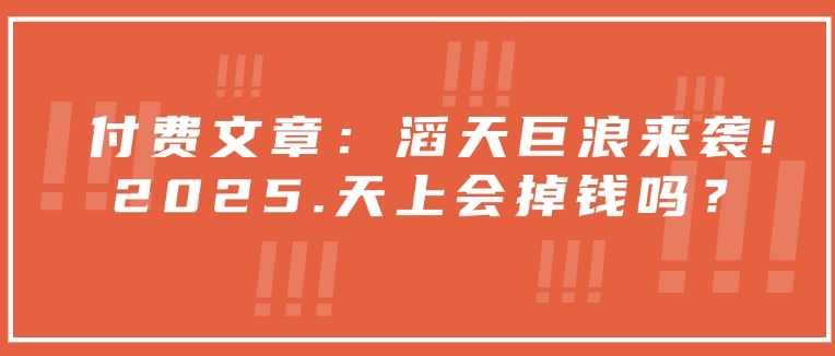 付费文章：滔天巨浪来袭！2025天上会掉钱吗？-shaocun资源站
