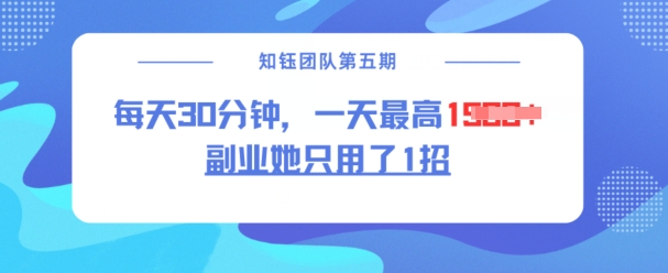 副业她只用了1招，每天30分钟，无脑二创，一天最高1.5k-shaocun资源站