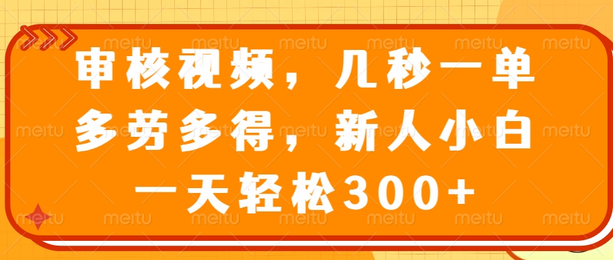 （14294期）审核视频，几秒一单，多劳多得，新人小白一天轻松300+-shaocun资源站