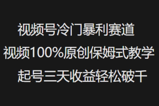 视频号冷门暴利赛道视频100%原创保姆式教学起号三天收益轻松破千-shaocun资源站