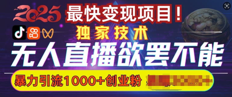 欲罢不能的无人直播引流，超暴力日引流1000+高质量精准创业粉-shaocun资源站